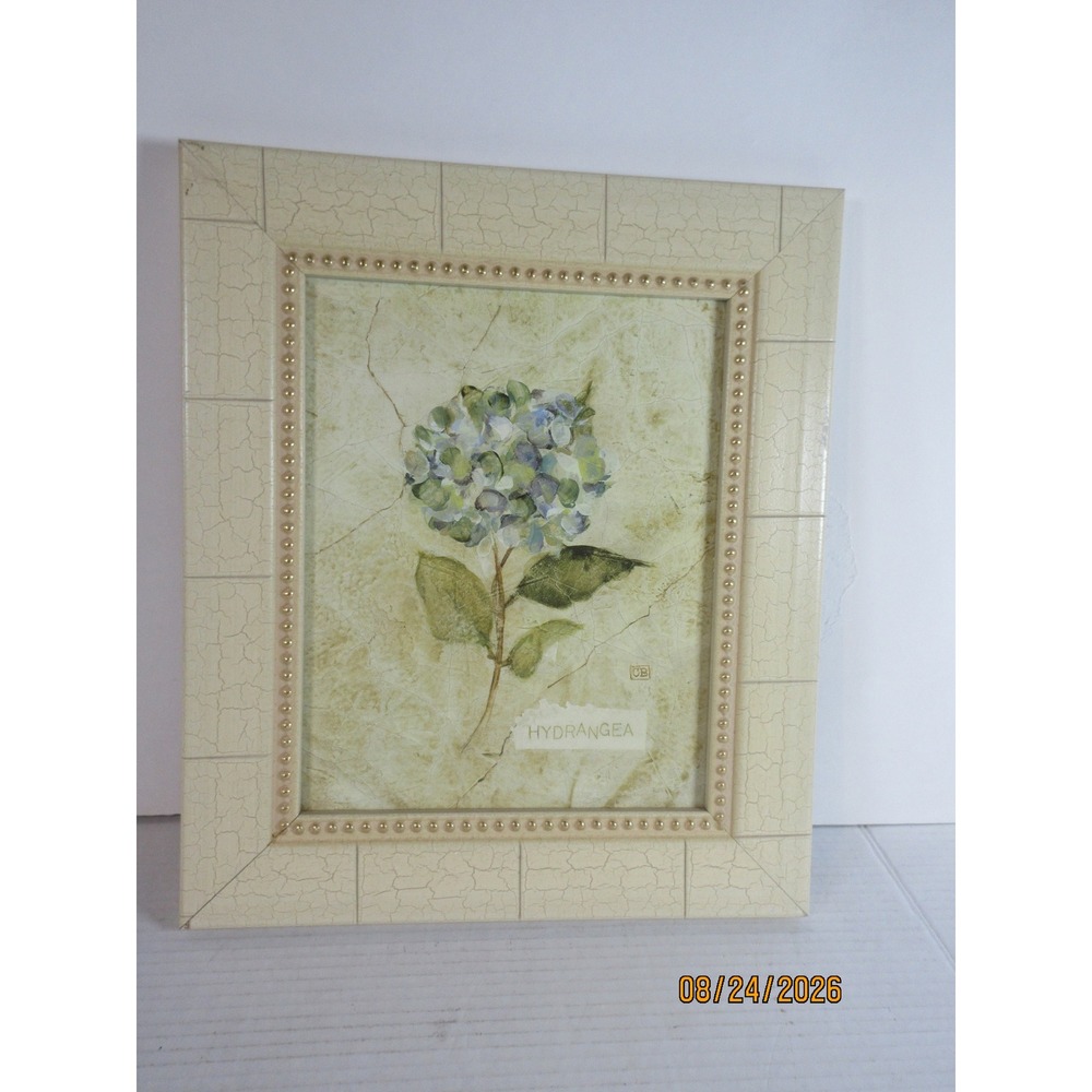 Washington Street Gallery Hydrangea Botanical Art Print Custom Crackle Frame